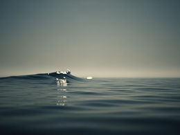 世界が変わる その少し手前で