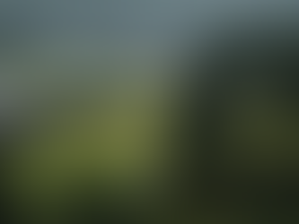 雨の山形、庄内──神話が息づく静けさのなかで