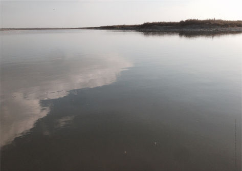 lumières éphémères ©MC