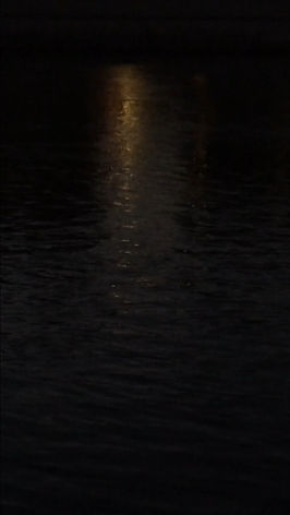 lumières éphémères ©MC