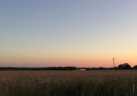 lumières éphémères ©MC