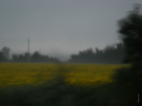 lumières éphémères ©MC