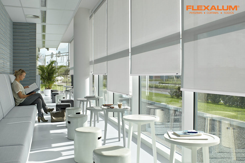 Cortina-Enrollable-Comercial-Flexalum