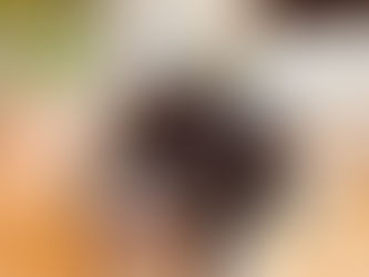 Nala empfiehlt...Hundezahnpflege