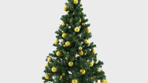 Collecte de sapins
