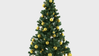 December 2025 Parish Press