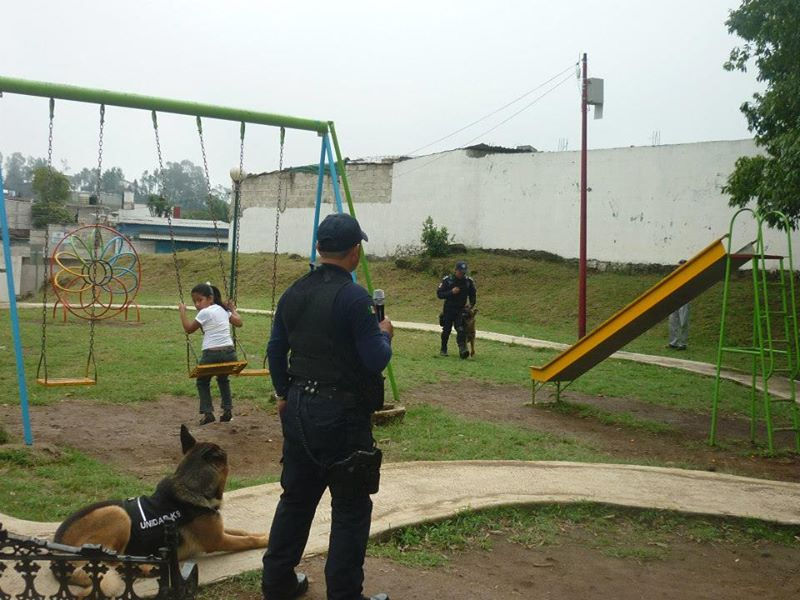Banderilla