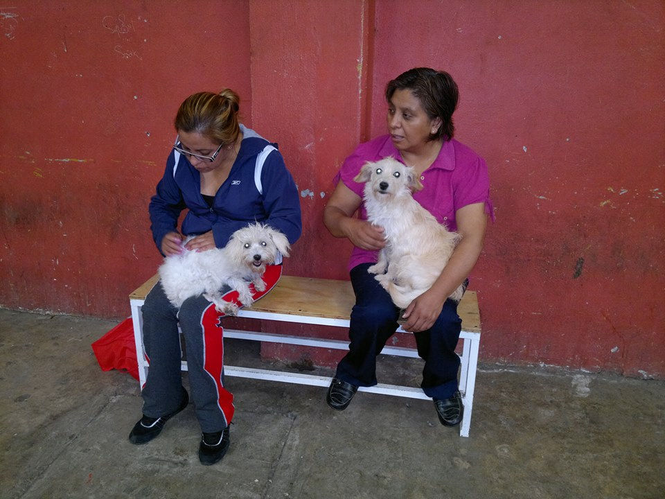 Coscomatepec