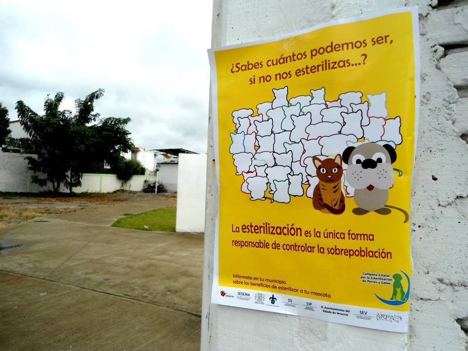 Campañas