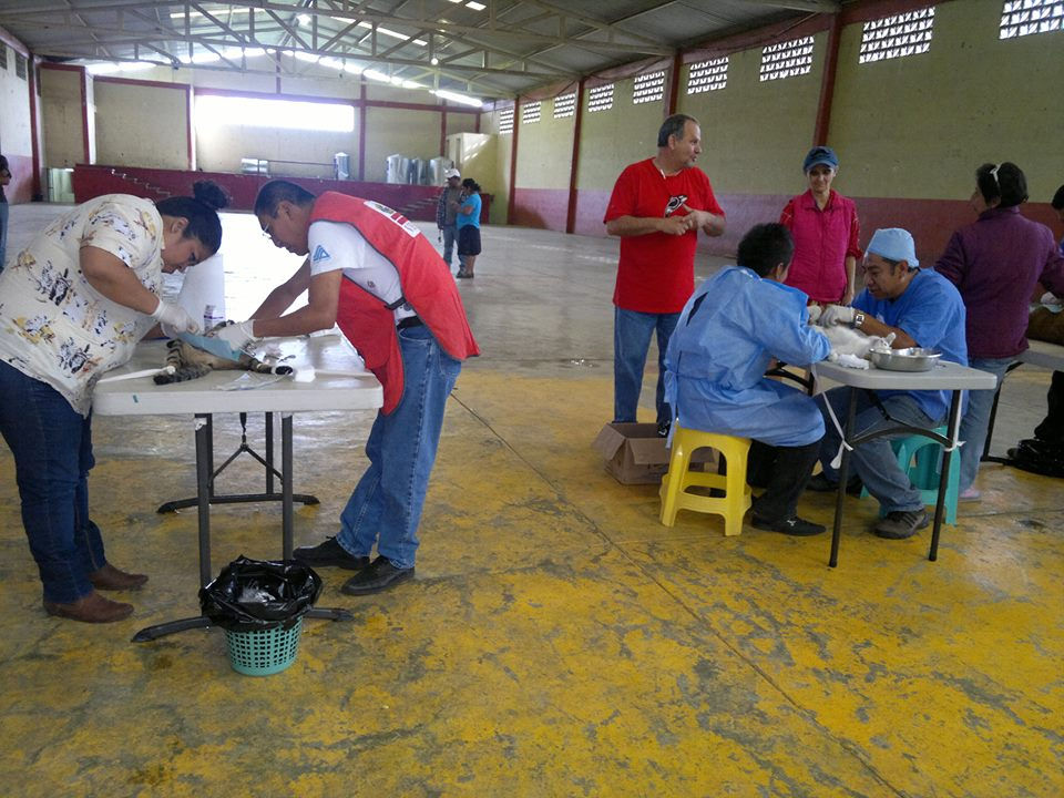 Coscomatepec