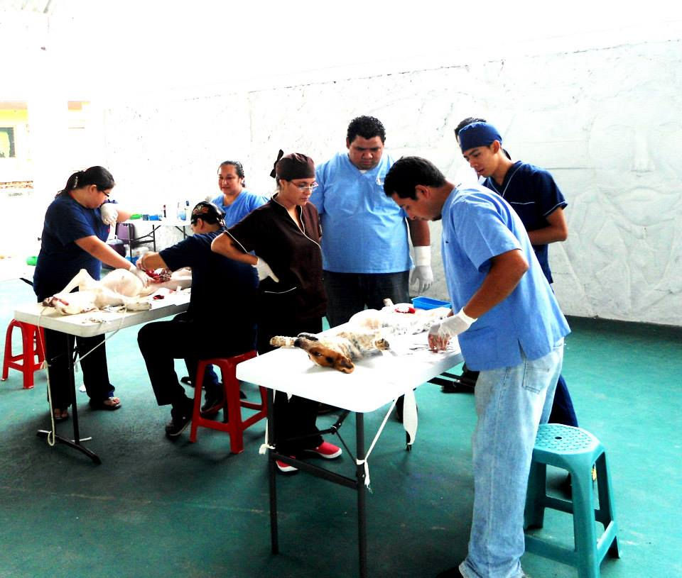 Poza Rica