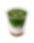 Maple Matcha
