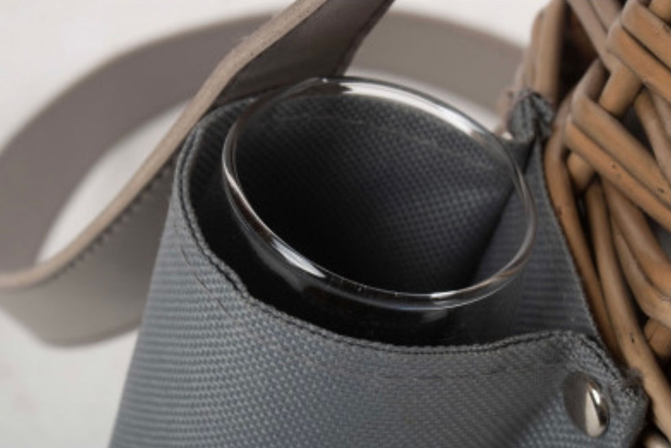 Thumbnail: The Champagne Carry Case