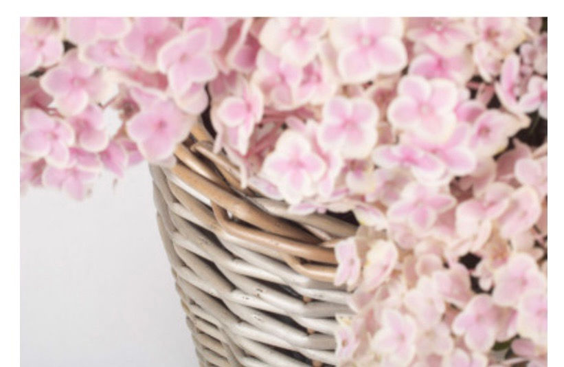 Thumbnail: close up of wicker planter with pink flowers