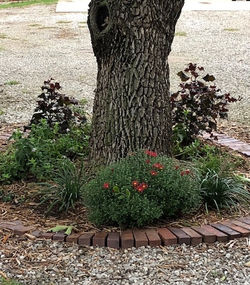 Driveway Flowerbed_edited.jpg