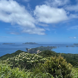 乳房山東　馬の背から南