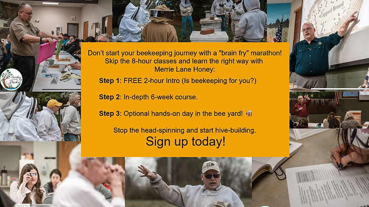 MerrieLane HoneyClass.jpg
