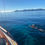 Miniature : Sail and Swim Half-Day Cruise