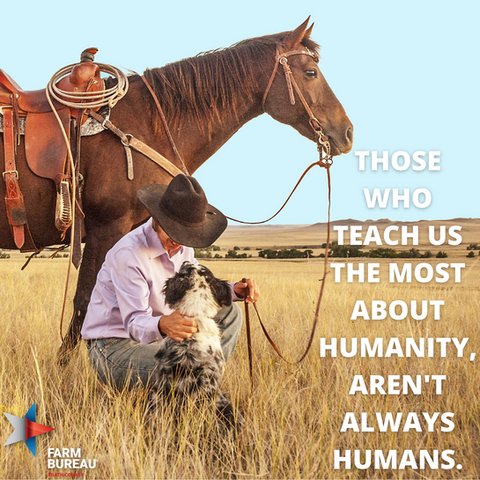 Erath County Farm Bureau