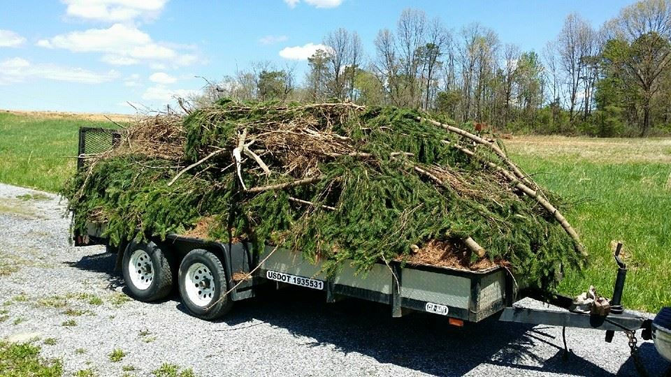 Trailer hauling away trees after an effective excavation service in Hagerstown, MD.