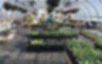 garden center & plant nursery rocky lea mulch near hagerstown md