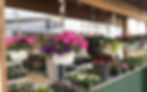 terms and conditions plant nursery rocky lea mulch near hagerstown md