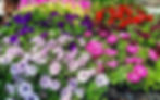 flower bed garden supplies rocky lea mulch in williamsport md