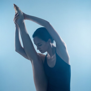 Flexibility and Mobility Program