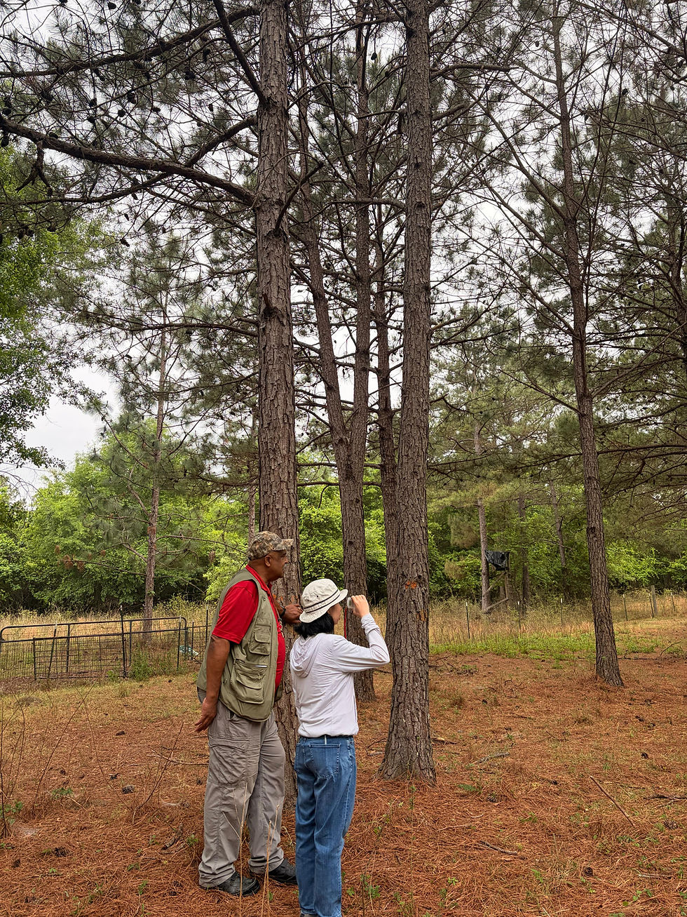 An image of two people in a forested area. One person is looking through binoculars.