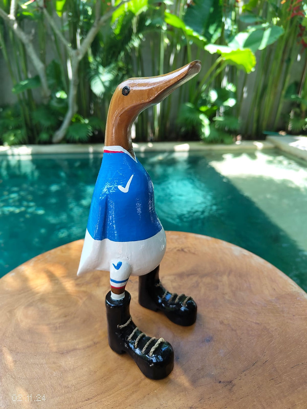 Miniature : EQUIPE FRANCE 25cm