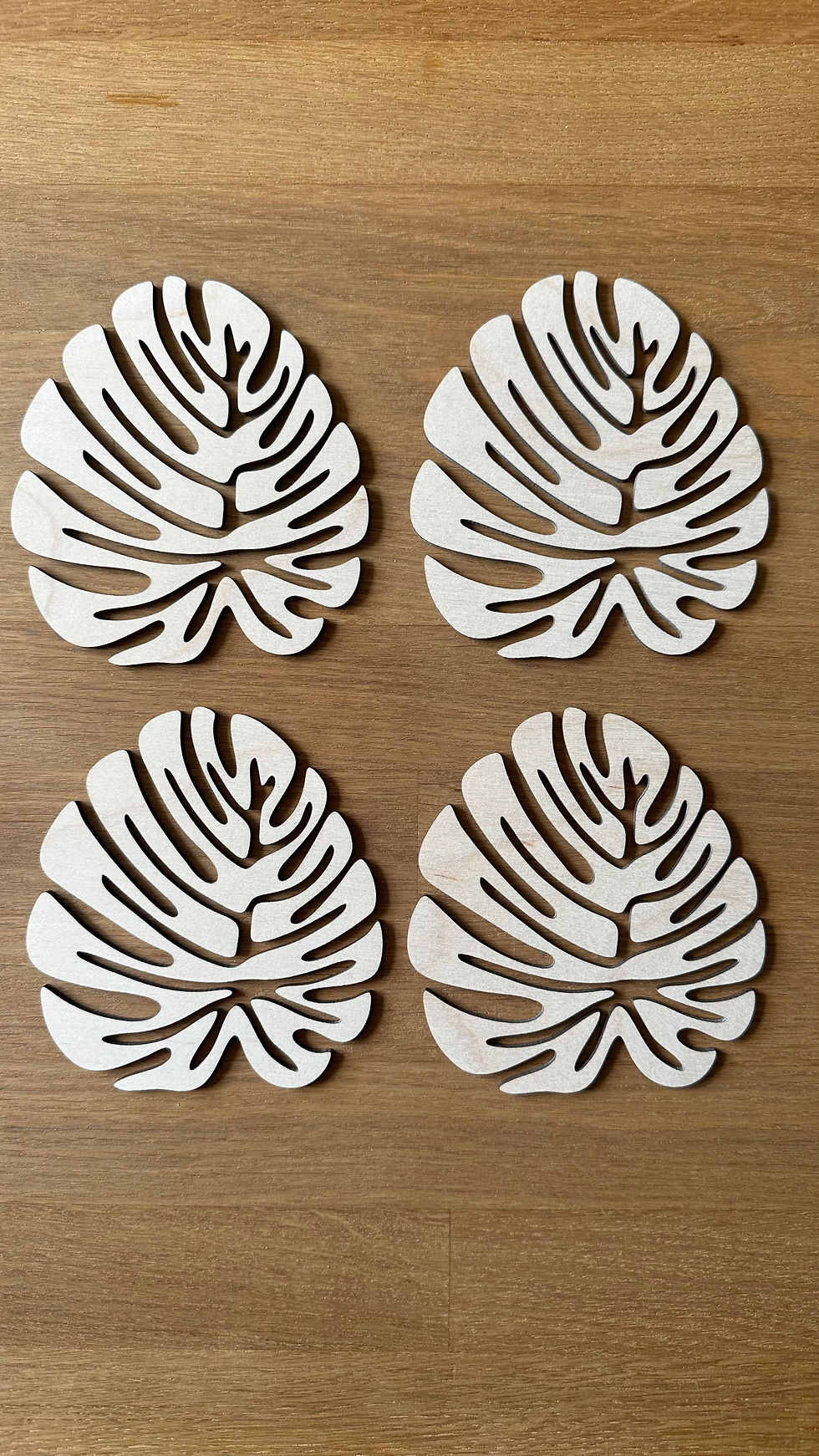 Miniatura: Podkładki Monstera