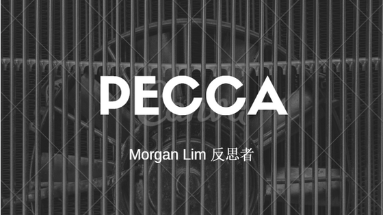 汽车系列之第一篇 : Pecca (Sofa 皮革商) undervalue了吗？