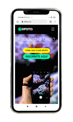 dfoto-web-1.gif