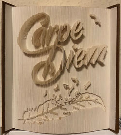 ANBuchfaltkunst-CarpeDiem