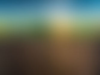 Comparação de tipos de solo e culturas agrícolas em corte transversal.