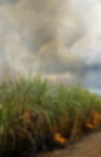 eafd634f806aac78d88b171003a388298f986d0f.jpg