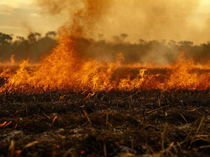 prevenção de incêndios