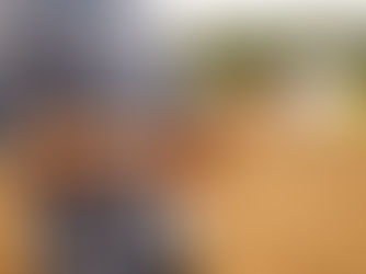 Zoneamento agrícola inteligente: como a análise de dados redefine janelas de plantio