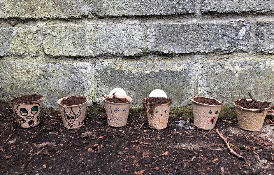 plant pots lined up against wall***.jpg