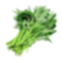有機青通菜
