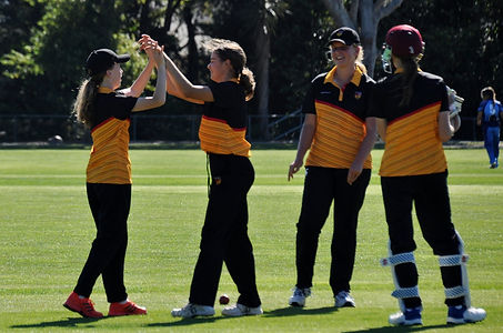 girls cricket.jpeg