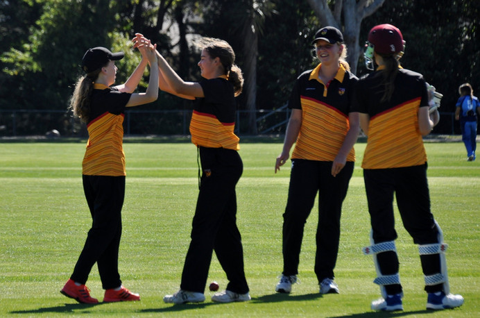 Wellington Collegians Cricket Club - Home Page