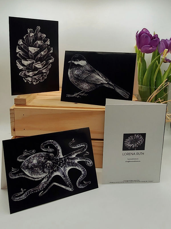 20260208_154436 (1).jpg