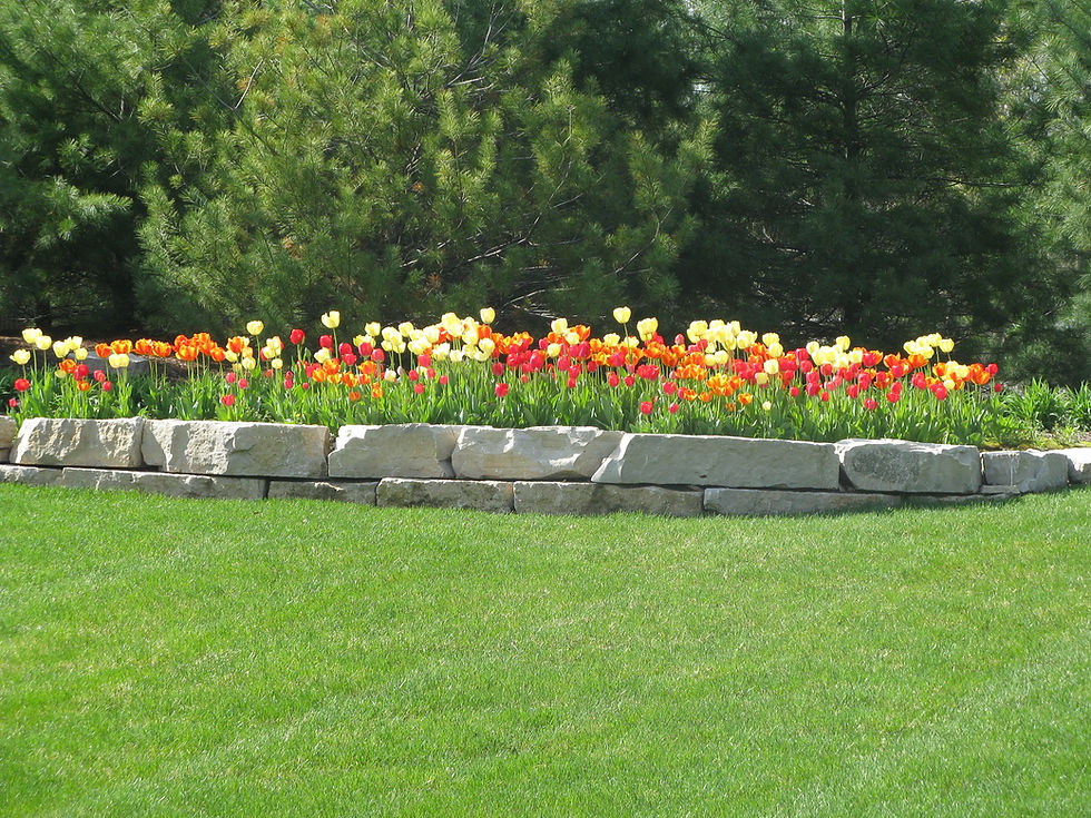 Tims pictures 1186.jpg