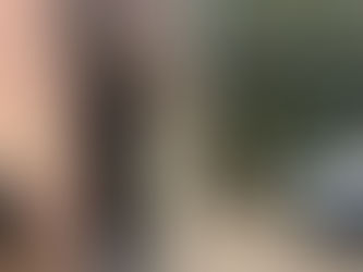 Should I Install Cameras Myself or Hire a Professional?