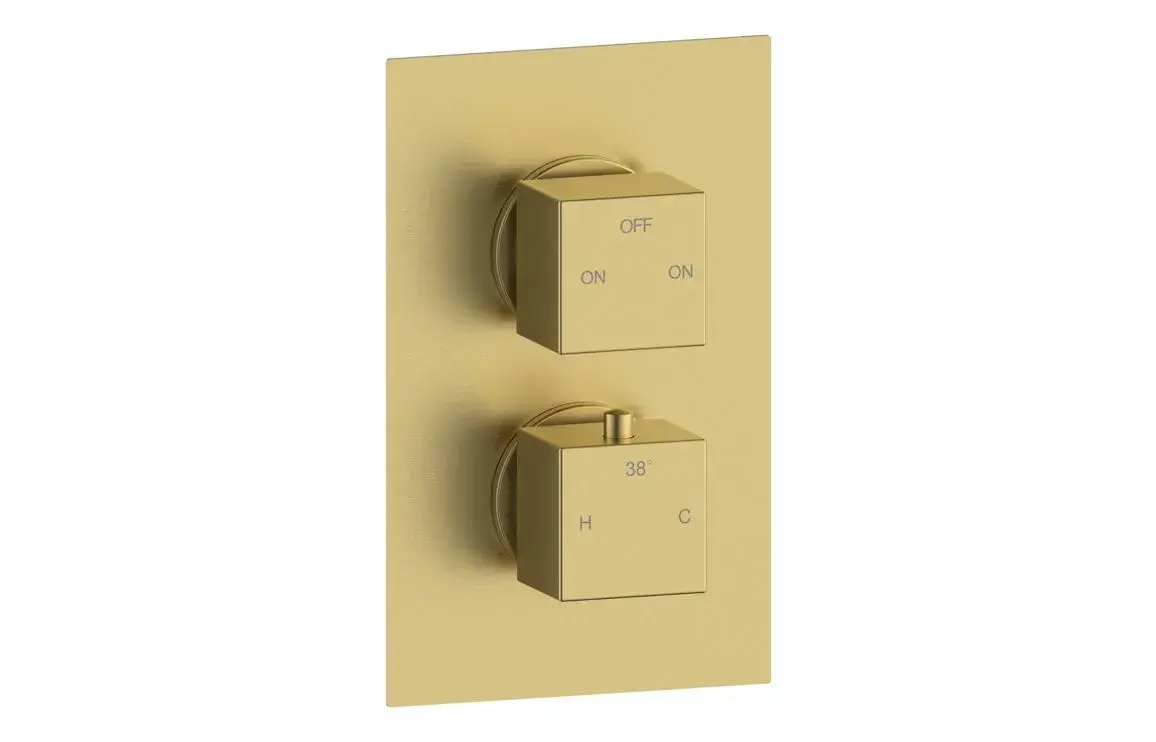 Pluto Thermostatic Two Outlet Twin Shower Valve - Brushed Brass