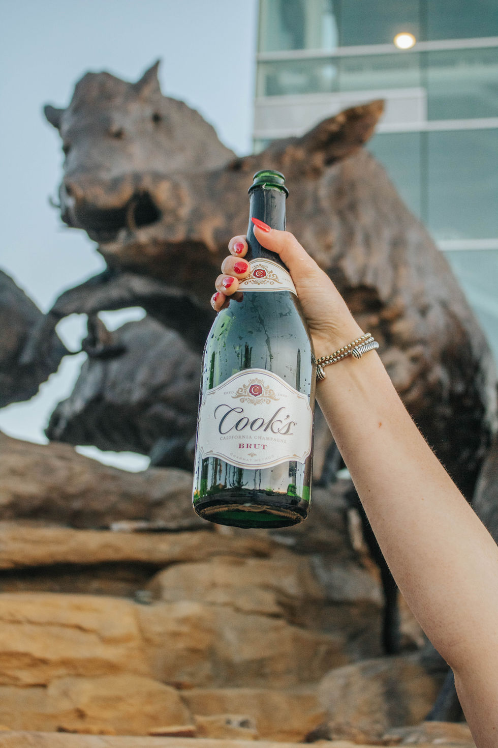 HAILEY_SENIOR_PICS_069