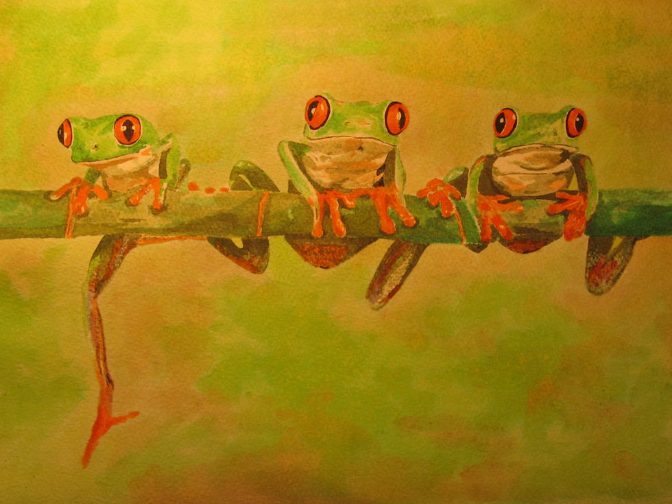 Red Eyed Tree Frogs Painting