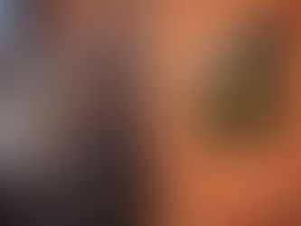 Exploring the Values of RTTV Freemasons