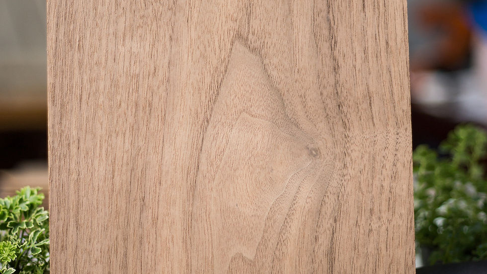 แผ่นไม้วอลนัทสีน้ำตาล วางบนโต๊ะด้านข้างมีต้นไม้และกล่อง ข้อความ "W-08 Walnut" ที่มุมล่างซ้าย บรรยากาศสงบ